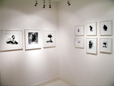 White Gallery Installation view 3