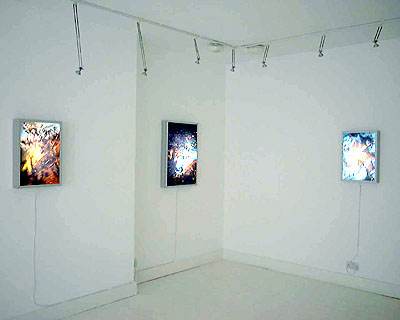 White Gallery 1