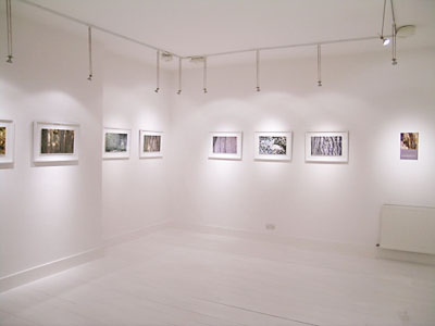 White Gallery 2, View 2