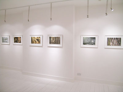 White Gallery 1, View 4