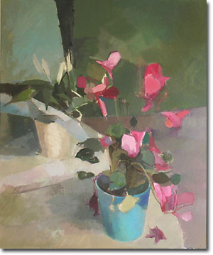 Cyclamen